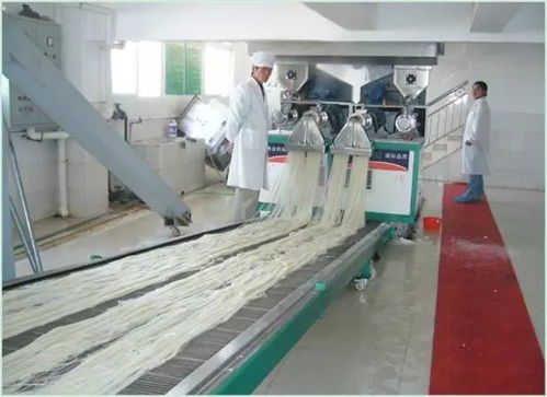 这家日产4吨的昆明米线厂原料掺假 污水 洗 米线 赶紧看,说不定你正在吃